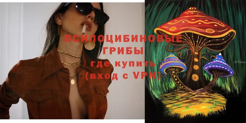 Псилоцибиновые грибы Magic Shrooms  omg   Сердобск 